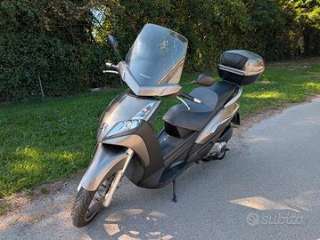 Peugeot Geopolis 300 (16kw)