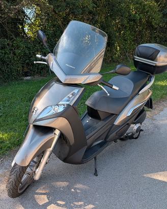 Peugeot Geopolis 300 (16kw)