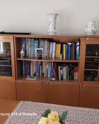 vetrinetta libreria 