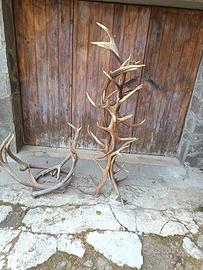 appiccapanni e porta legna