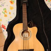 Chitarra acustica Takamine G Series EG512C