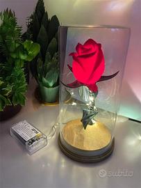 Rosa illuminata in campana di vetro San valentino