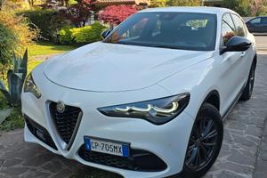 Alfa Romeo Stelvio 2.2 Turbodiesel 210 CV AT8 Q4 S