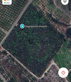 Terreno ristica 6 tumuli