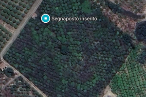 Terreno ristica 6 tumuli