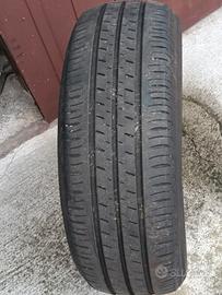 Gomme estive