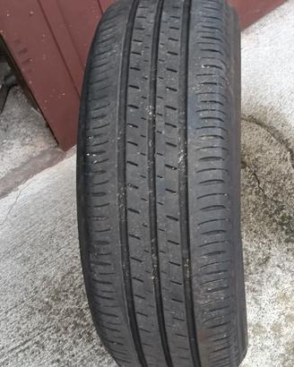 Gomme estive