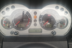 Disponibile da Settembre 2025