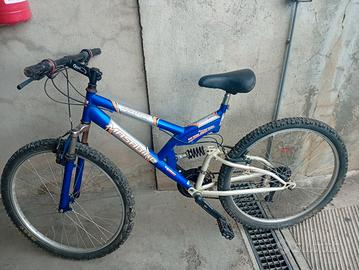 MTB ammortizzate pronte per l 'utilizzo 