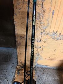 Canna da pesca Daiwa