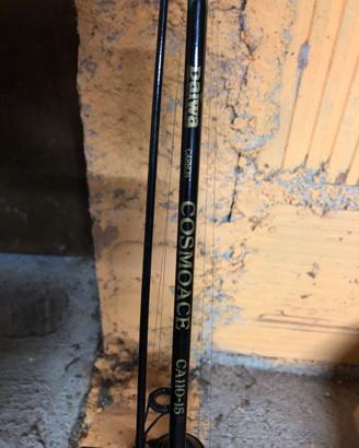 Canna da pesca Daiwa