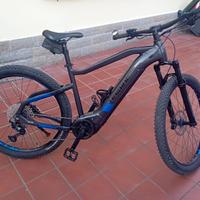 Haibike modello hard nine  tg.L