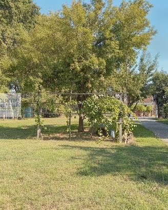 Casa singola con capannone e terreno agricolo