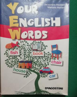 your english words