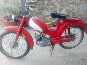 negrini cc 50