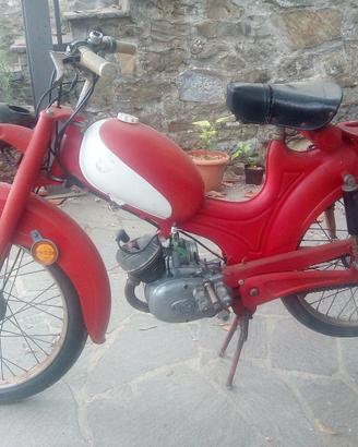 negrini cc 50