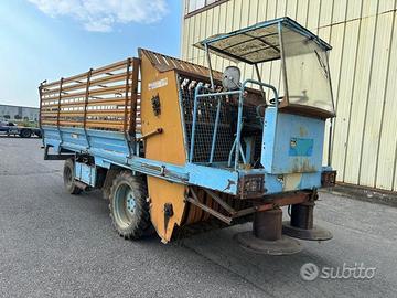 Falcia Carica Riberi