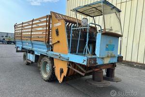 Falcia Carica Riberi