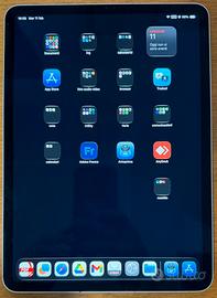 iPad Pro M1 cellular