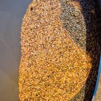 sabbia rossa acquario