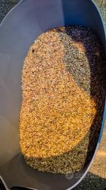 sabbia rossa acquario