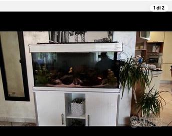 ACQUARIO PESCI 200LT