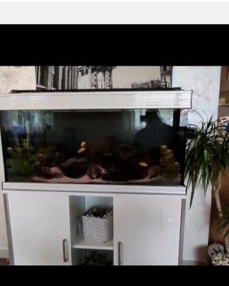 ACQUARIO PESCI 200LT