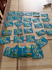 Bustine figurine panini italia ambiente arte econo