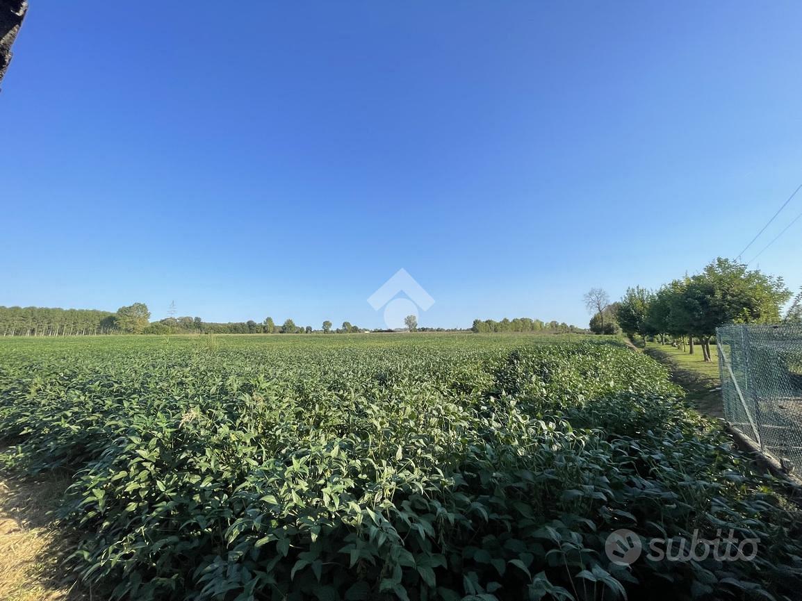TER. AGRICOLO A TREBASELEGHE - Vista 4