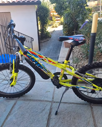 bicicletta 