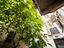Immagine 24