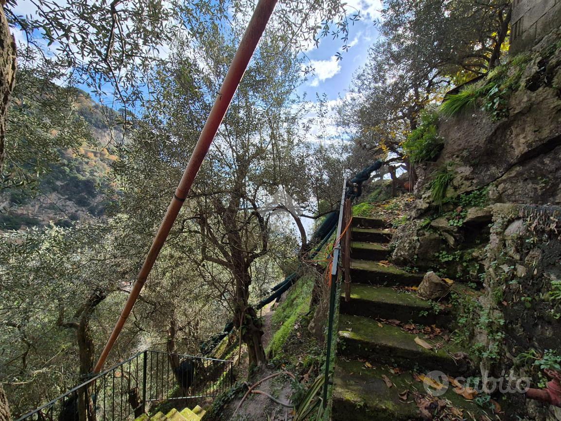 TER. AGRICOLO A SCALA - Vista 5