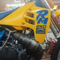 Suzuki RM 250