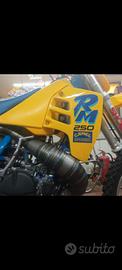 Suzuki RM 250