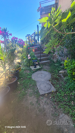Isola d'elba casa vacanza