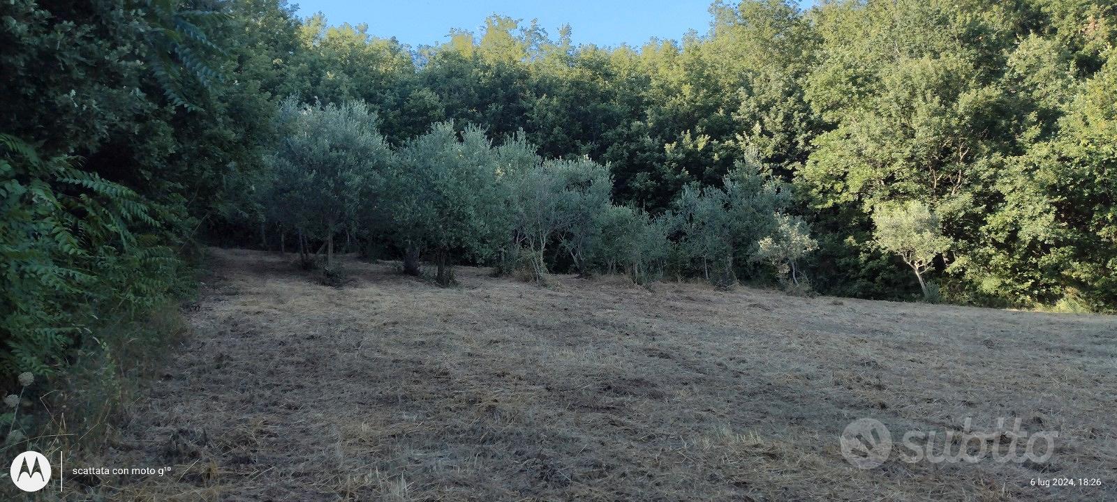 Terreno agricolo con enfiteusi - Vista 2