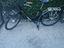 Immagine 3