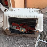 trasportino cane