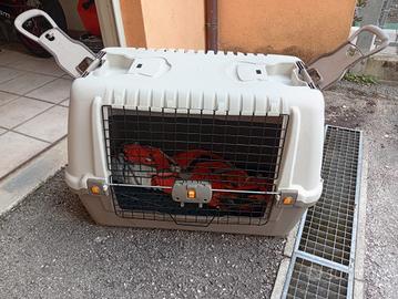 trasportino cane