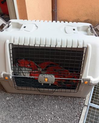 trasportino cane