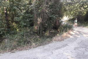 Vendesi terreno agricolo