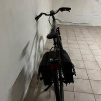 Bici elettrica Aster Man pedalata assistita