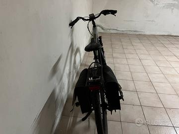 Bici elettrica Aster Man pedalata assistita