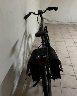 Bici elettrica Aster Man pedalata assistita