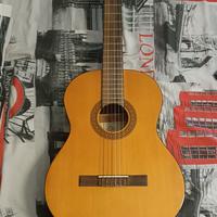 Chitarra acustica