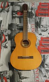 Chitarra acustica