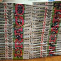 Manga Dragon Ball Evergreen 1-42 serie completa