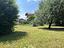 Immagine 11