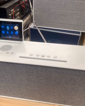 Radio Pure evoke Home