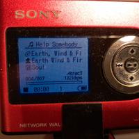 SONY Network WALKMAN NW-HD3
